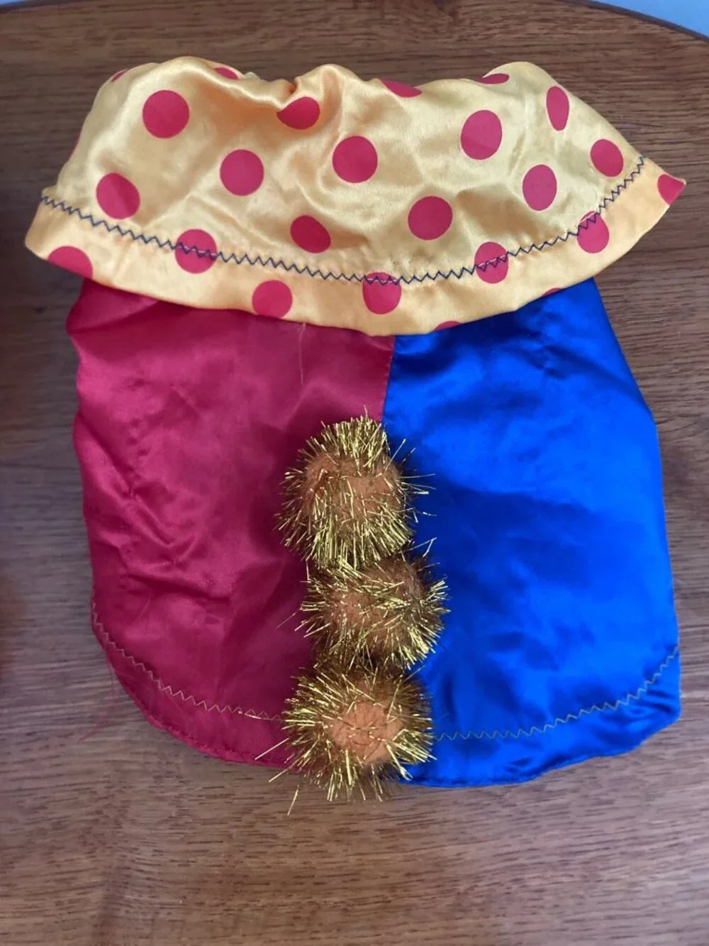 Set Of 6 Dog Costumes: Biker Santa Clown Pumpkin Lion Mane & Black Vest Sz S